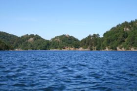 IMG_8575.jpg