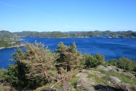 IMG_8601.jpg