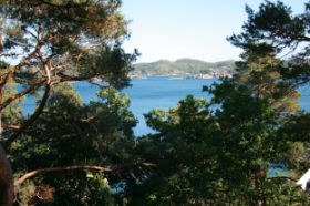 IMG_8628.jpg