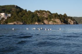 IMG_8680.jpg